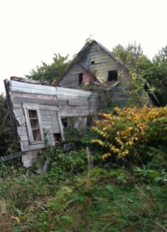 Abandon house in our field